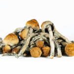 A-One Trinity Magic Mushrooms