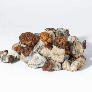 B+ Magic Mushrooms