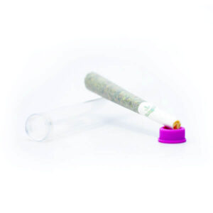 Indica Pre-Rolled Joints