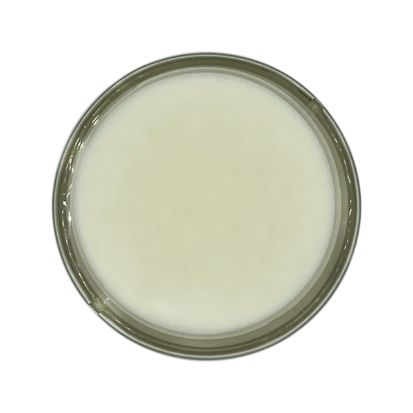 Organic CBD Muscle Cream – 2000mg Targeted Relief Formula