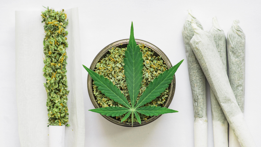 Infused Pre-Rolls vs Regular Pre-Rolls