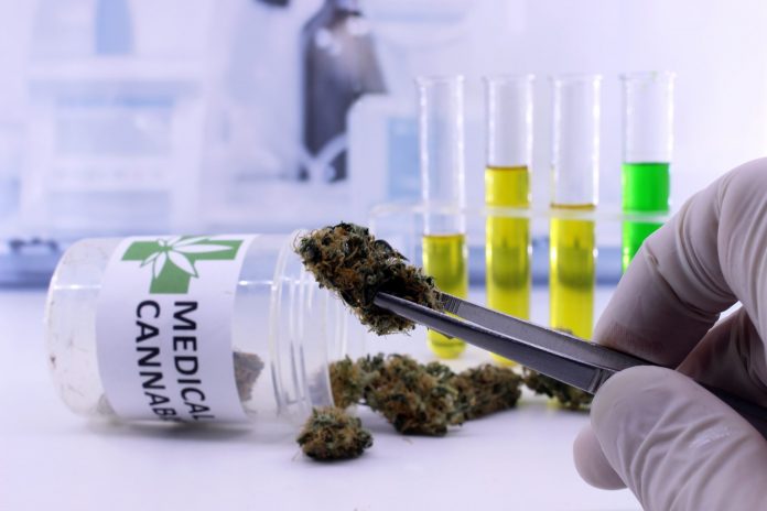 how to use cbd
