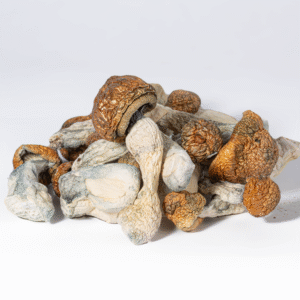 Dried Blue Meanies Mushrooms