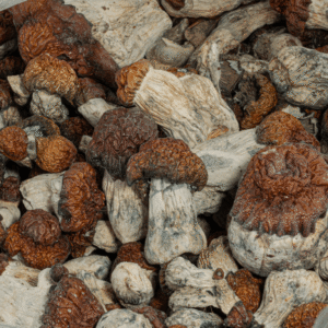 Blue Pulaski Mushrooms