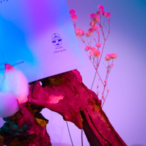 Haven Blue Raspberry + Grape Psilocybin Gummies (3500mg)