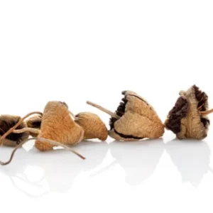 buy Liberty Caps Magic Mushrooms