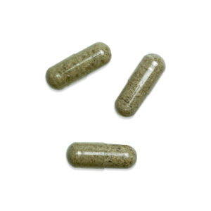 Shroomies Thinkcaps Microdose Capsules (100mg)