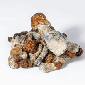 Vietnamese Mushrooms