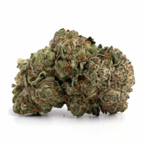 buy Ace Killer OG Strain