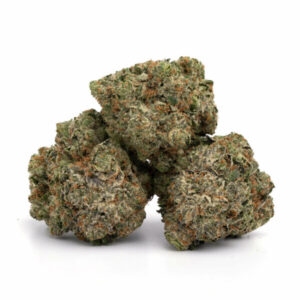 Ace Killer OG Strain