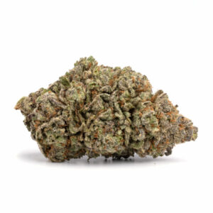 buy Blue Lobster Strain