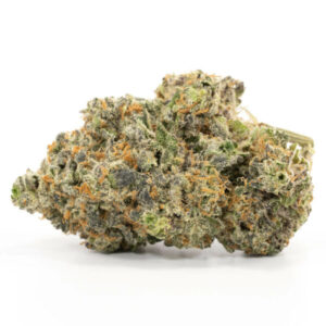 Creme Brulee Strain