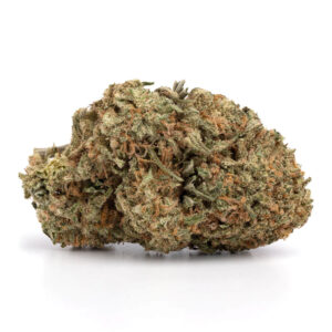 buy Critical Mass Strain
