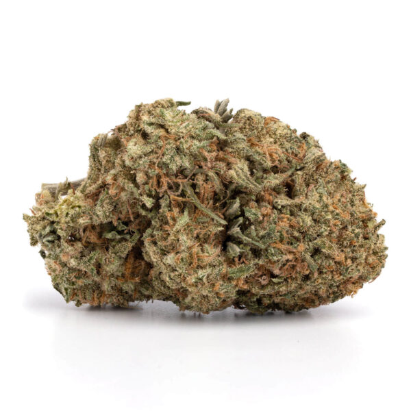 buy Critical Mass Strain