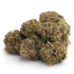buy Critical Mass Strain