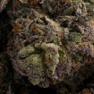 Granddaddy Pluto Strain