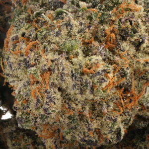 Mike Tyson Strain