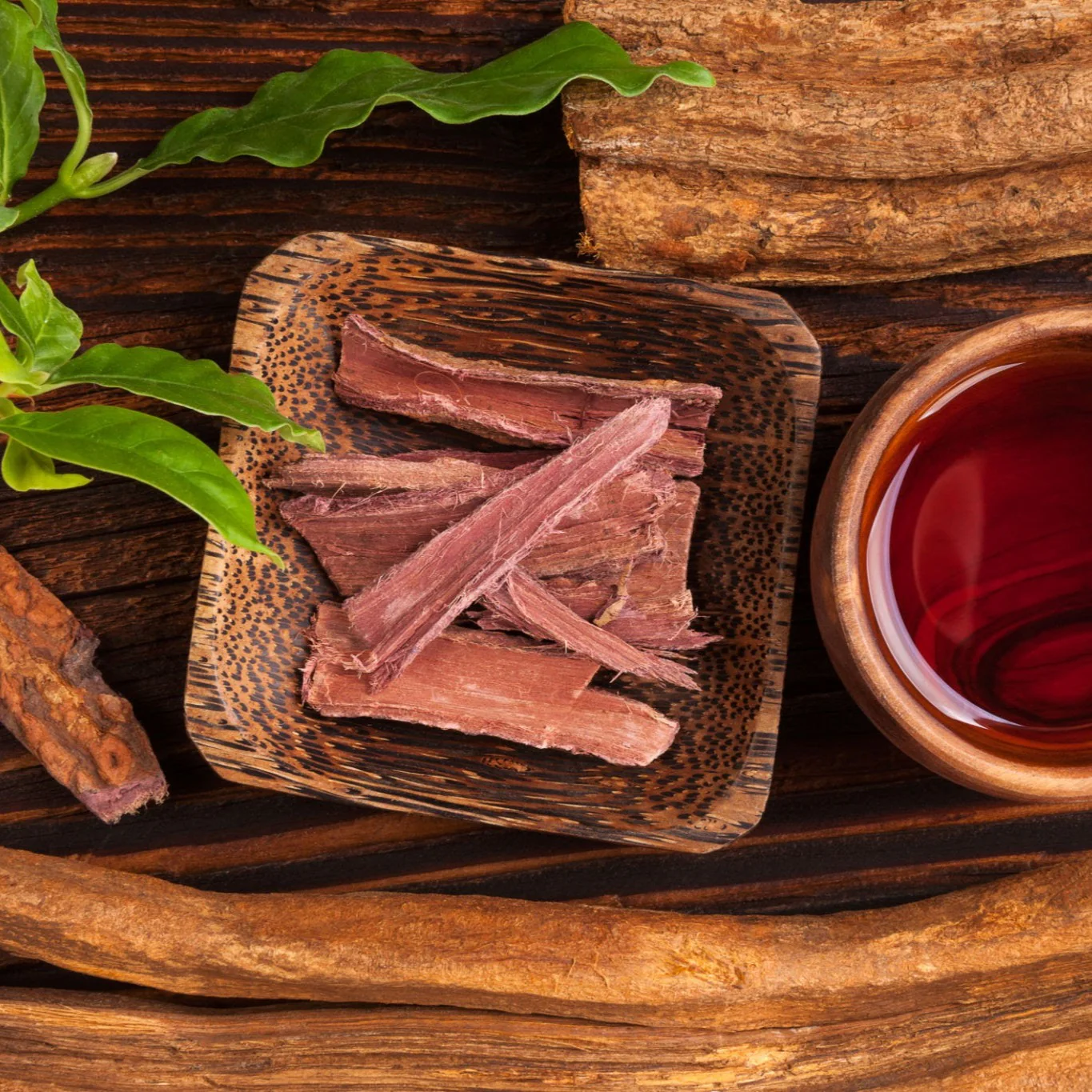 buy Mimosa hostilis Root Bark