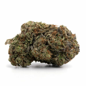 buy Northern Lights Strain