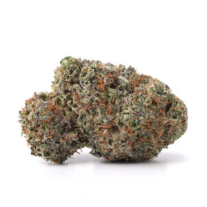 Purple OG Kush Strain