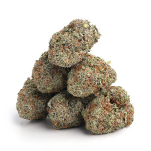 Purple OG Kush Strain