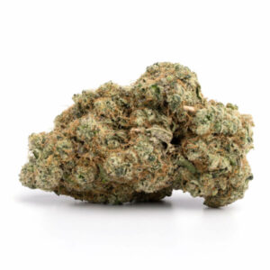 buy Violator Kush Strain