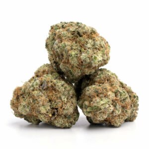 buy Violator Kush Strain