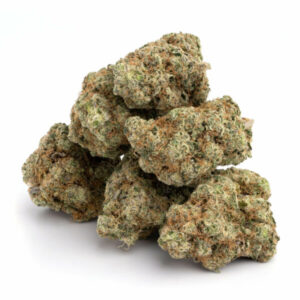 Violator Kush Strain for sale