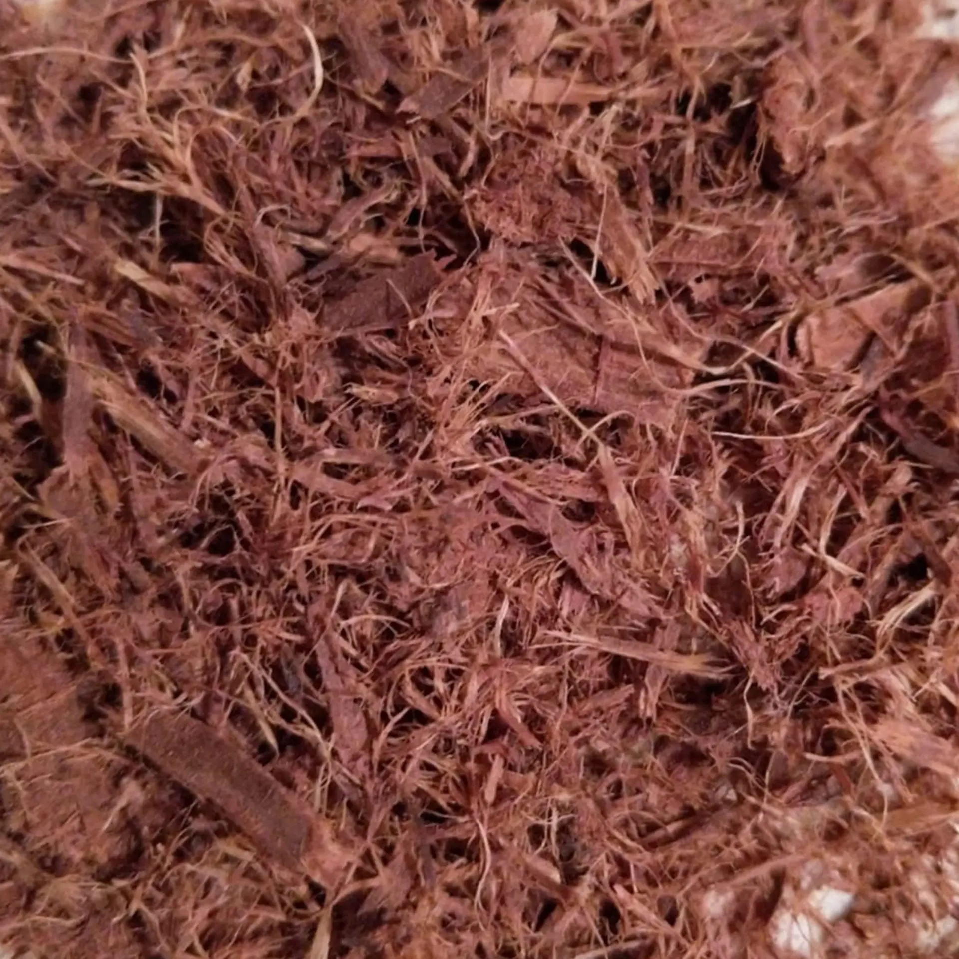 Mimosa Hostilis Root Bark Shredded