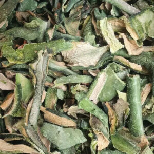 San Pedro Cactus Dried Skin