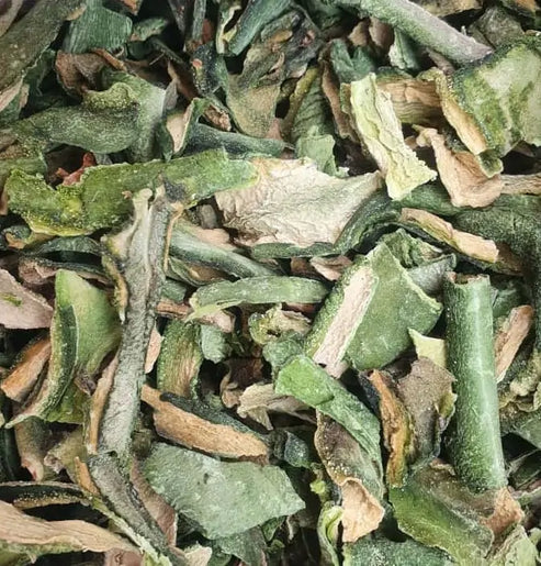 San Pedro Cactus Dried Skin