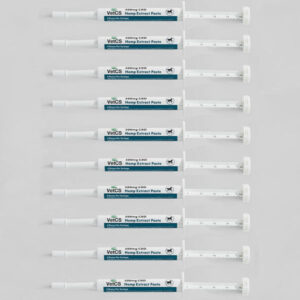 10 pack VetCS CBD Horse Paste, 500mg per syringe