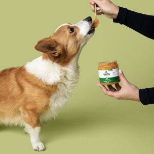 500mg CBD Calming Peanut Butter