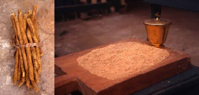 Iboga Root Bark Powder for Sale (2026 Guide): Benefits, Uses & Why CBD Mind Lab Is Your #1 Source