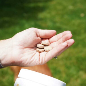 CBD Joint Chewables for dogs