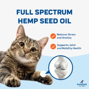 CBD Oil for Cats