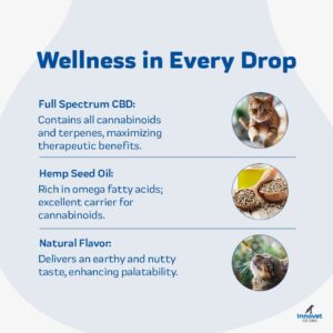 CBD Oil for Cats