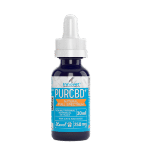 CBD Oil for Dogs