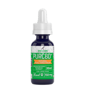 CBD Oil for Dogs