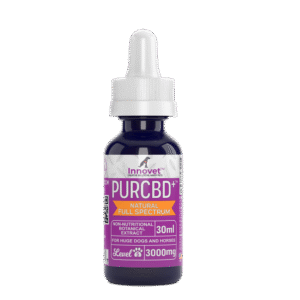 CBD Oil for Dogs