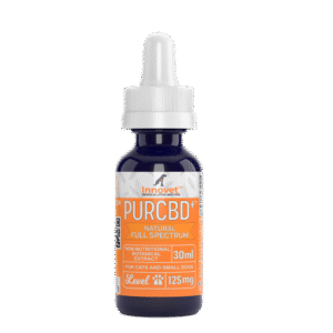 CBD Oil for Dogs
