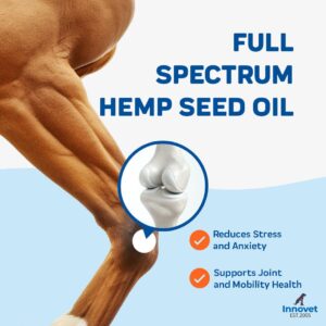 CBD Oil for Horses