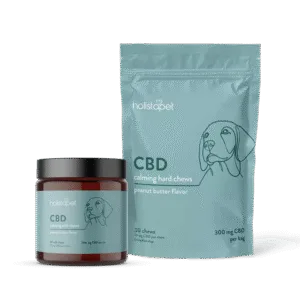 "Chew On It" Calming Bundle