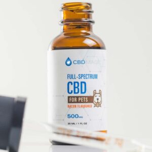 Dog CBD - Full Spectrum Pets Oil 500mg Bacon