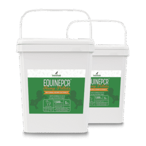 Equine PCR - Hemp Pellets for Horses