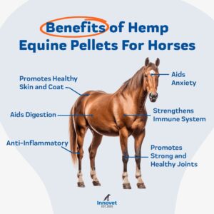 Equine PCR - Hemp Pellets for Horses