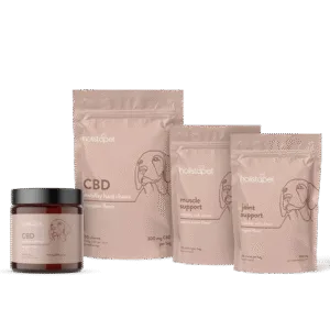 "I Like To Move It Move It!" Bundle