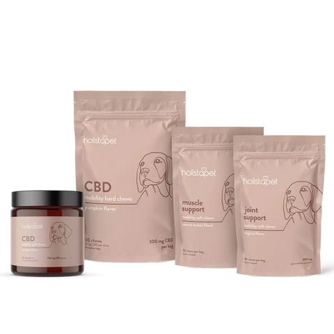 "I Like To Move It Move It!" Bundle