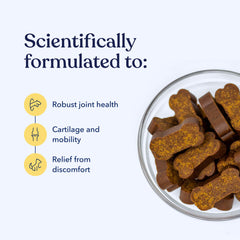 Mobility CBD Soft Chews