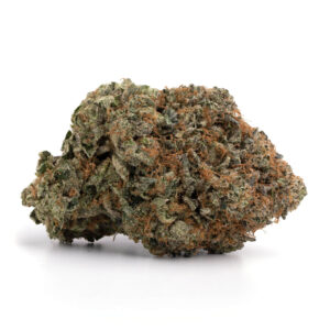 Black Tuna | Buy Weed Online At Herb Approach | Online Dispensary